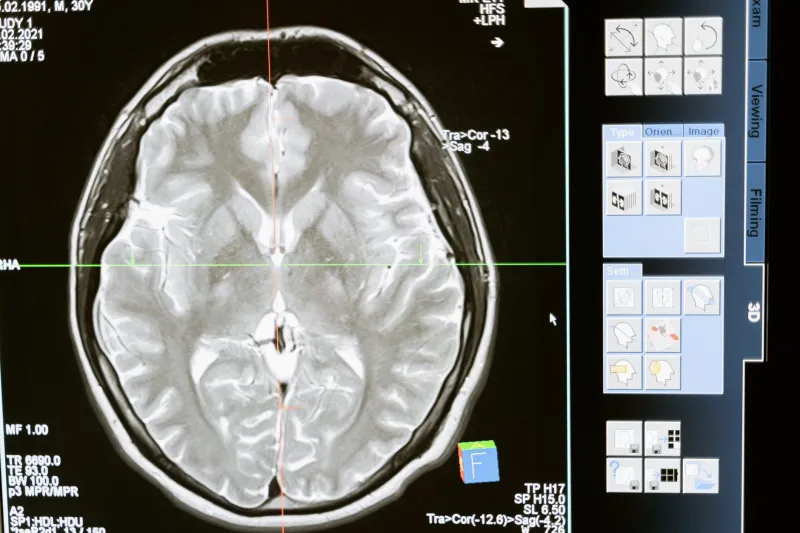 The Thinking Palate: What Neuroscience Is Revealing About the Minds of Master Tea Tasters